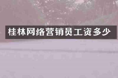 桂林网络营销员工资多少