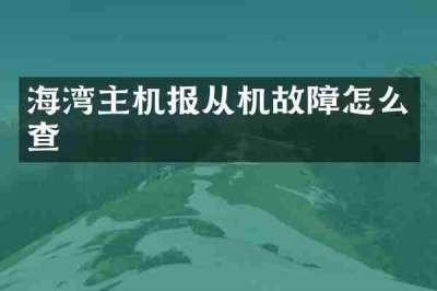 海湾主机报从机故障怎么查