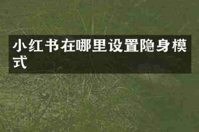 小红书在哪里设置隐身模式