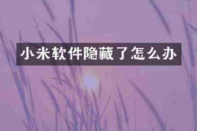 小米软件隐藏了怎么办