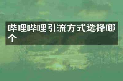 哔哩哔哩引流方式选择哪个