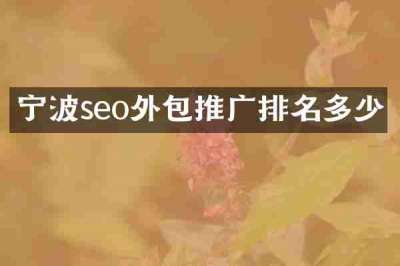 宁波seo外包推广排名多少