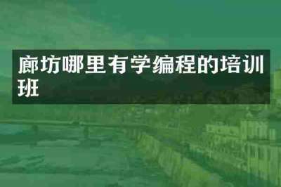 廊坊哪里有学编程的培训班