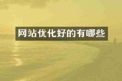 网站优化好的有哪些