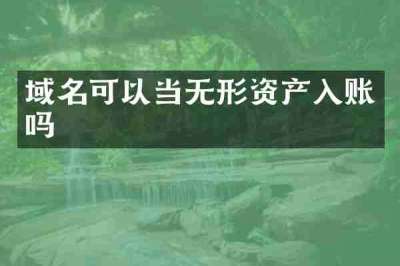 域名可以当无形资产入账吗