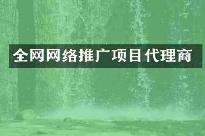全网网络推广项目代理商