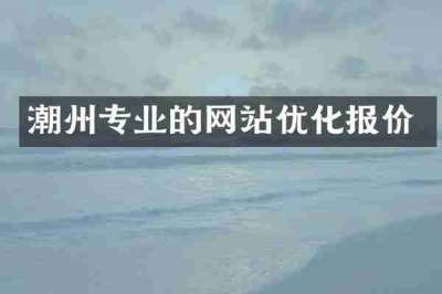 潮州专业的网站优化报价
