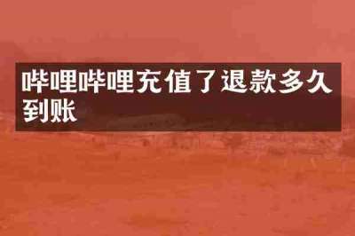 哔哩哔哩充值了退款多久到账