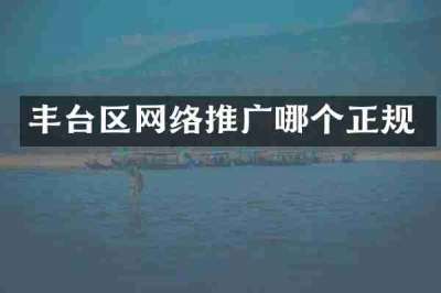 丰台区网络推广哪个正规