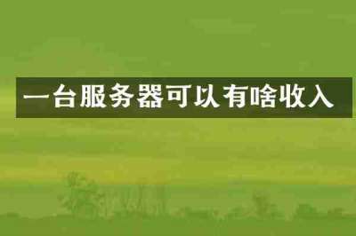 一台服务器可以有啥收入