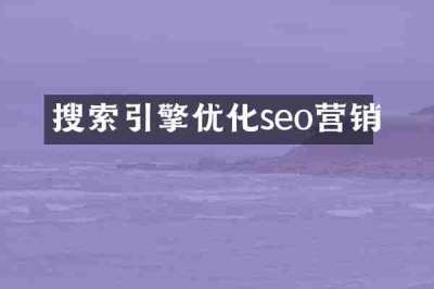 搜索引擎优化seo营销