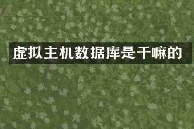 虚拟主机数据库是干嘛的