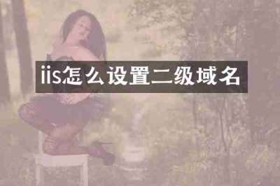 iis怎么设置二级域名
