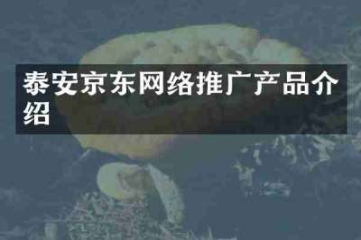泰安京东网络推广产品介绍