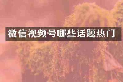 微信视频号哪些话题热门