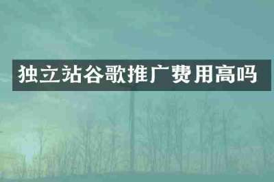 独立站谷歌推广费用高吗