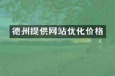 德州提供网站优化价格