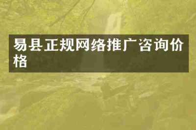 易县正规网络推广咨询价格