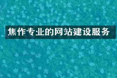 焦作专业的网站建设服务