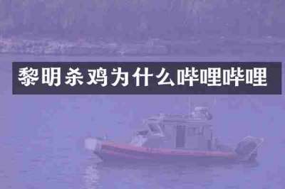 黎明杀鸡为什么哔哩哔哩