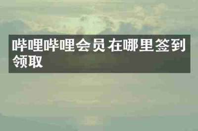 哔哩哔哩会员在哪里签到领取