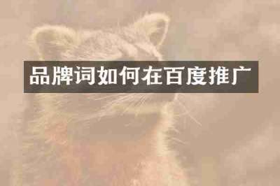 品牌词如何在百度推广