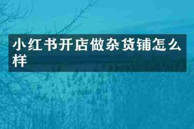小红书开店做杂货铺怎么样
