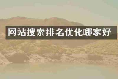 网站搜索排名优化哪家好