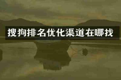 搜狗排名优化渠道在哪找