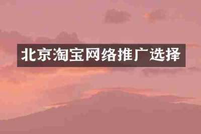 北京淘宝网络推广选择