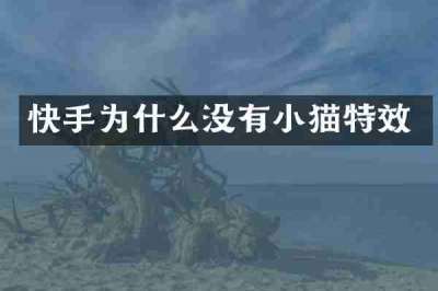 快手为什么没有小猫特效