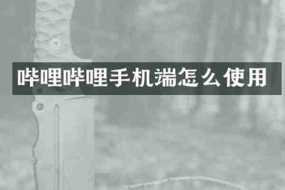哔哩哔哩手机端怎么使用