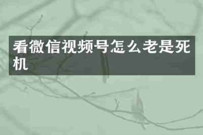 看微信视频号怎么老是死机