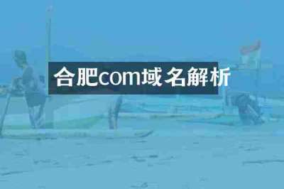 合肥com域名解析