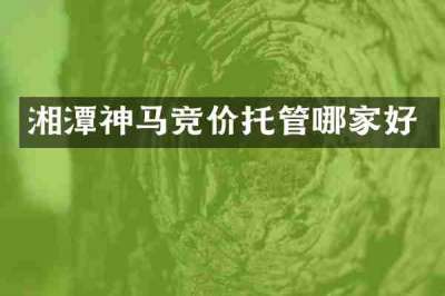 湘潭神马竞价托管哪家好