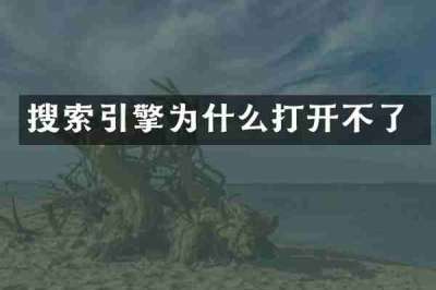 搜索引擎为什么打开不了