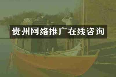 贵州网络推广在线咨询
