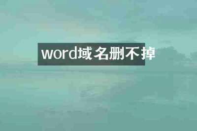 word域名删不掉
