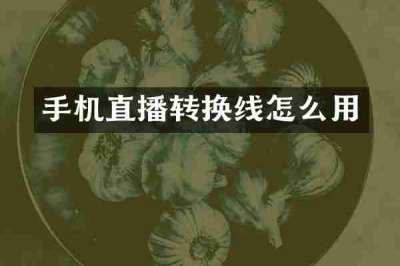 手机直播转换线怎么用