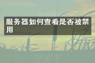 服务器如何查看是否被禁用