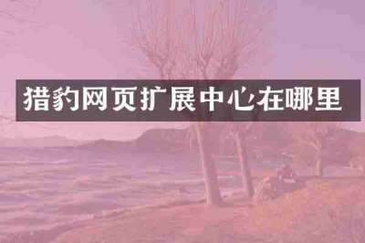猎豹网页扩展中心在哪里