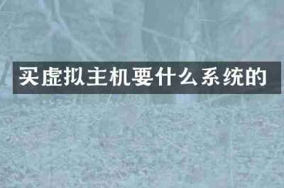 买虚拟主机要什么系统的