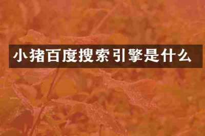 小猪百度搜索引擎是什么
