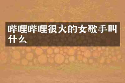 哔哩哔哩很火的女歌手叫什么