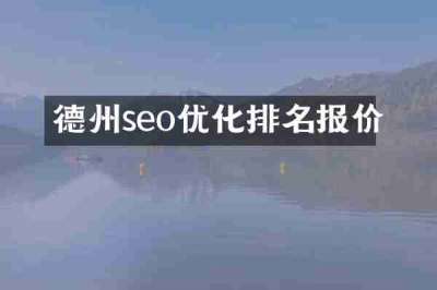 德州seo优化排名报价