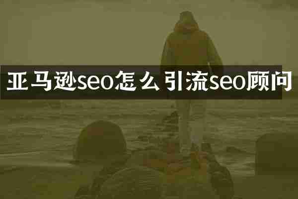 亚马逊seo怎么引流seo顾问