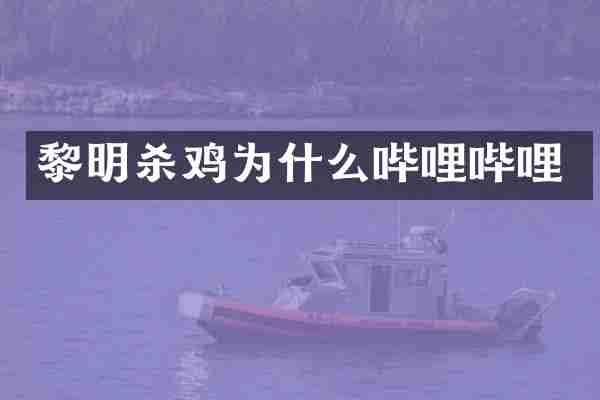黎明杀鸡为什么哔哩哔哩