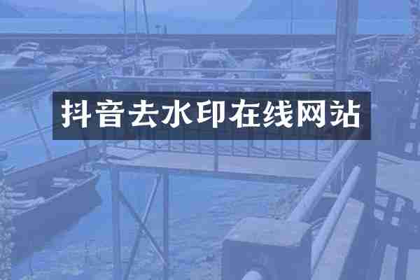 抖音去水印在线网站