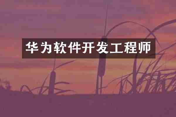 华为软件开发工程师