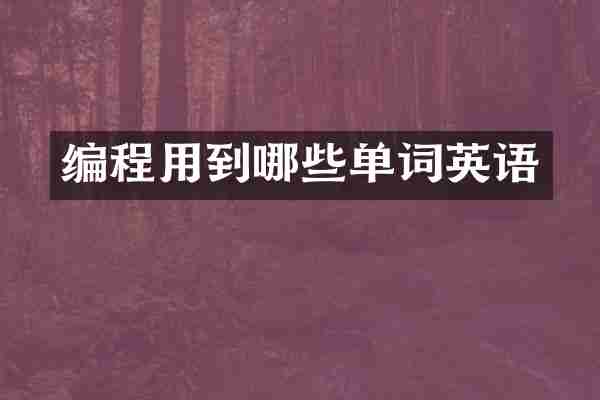 编程用到哪些单词英语